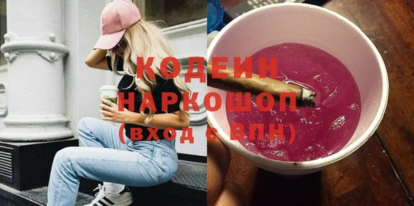 шишки Заволжье